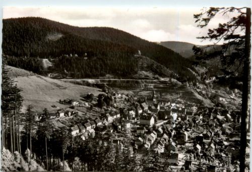 Kurort Lautental Harz, Blick vom Bielstein