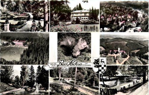 Bad Sachsa, div. Bilder