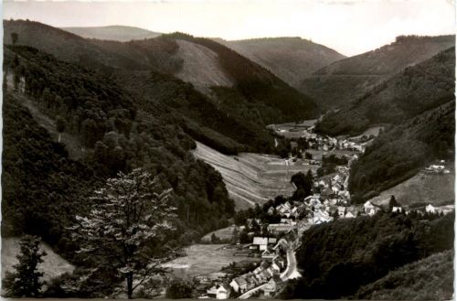 Sieber im Harz, Blick vom Lilienberg