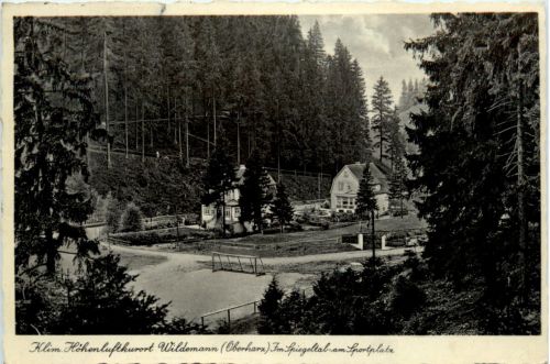 Wildemann im Oberharz, Im Spiegeltal am Sportplatz