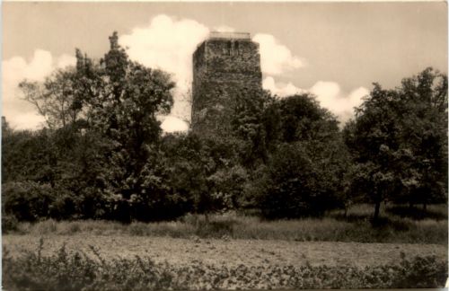 Eilenburg in Sachsen, 100-Jähriger Sorbenturm