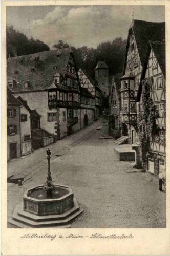 Miltenberg am Main, Schnatterloch