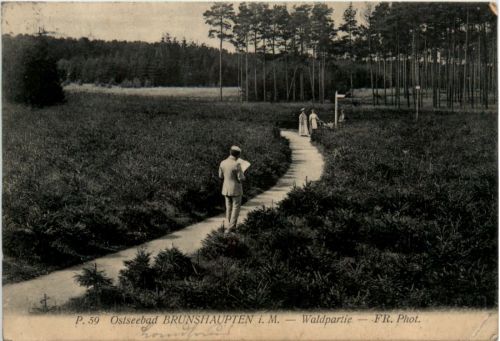 Seebad Brunshaupten, Waldpartie