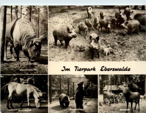 Im Tierpark Eberswalde, div. Bilder