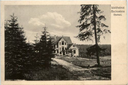 Waldheimat Bockswiese Oberharz
