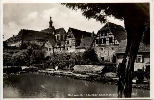 Bad Wimpfen am Neckar - am Gänseteich