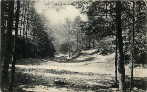 Syke - Die Wolfschlucht