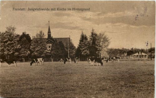 Freistatt - Jungviehweide mit Kirche