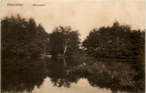 Halsmühlen - Mühlenteich - Verden