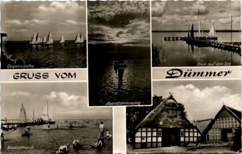 Gruss vom Dümmer