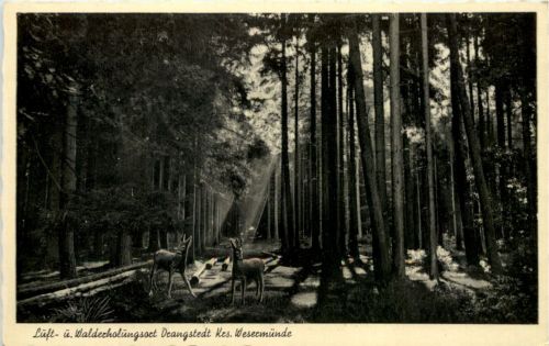 Drangstedt