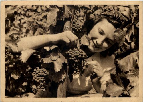 Wein