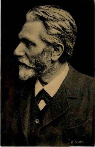 A. Bebel - Politiker