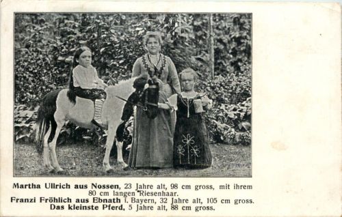 Nossen - Ebnath - Zirkus