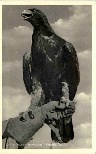 Berlebeck - Adler-Warte