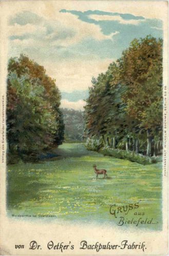 Gruss aus Bielefeld - Litho