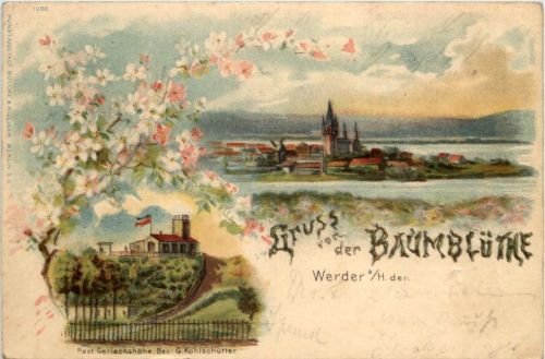 Gruss von der Baumblüte Werder Havel - Litho