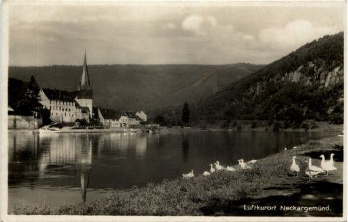 Kurort Neckargemünd