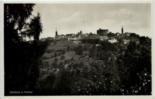Dilsberg am Neckar
