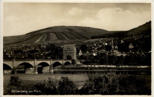 Miltenberg am Main