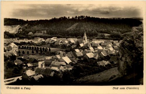 Scharzfeld, Blick vom Steinberg
