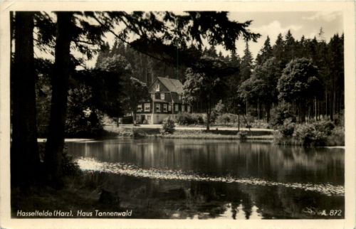 Hasselfelde Harz, Haus Tannenwald