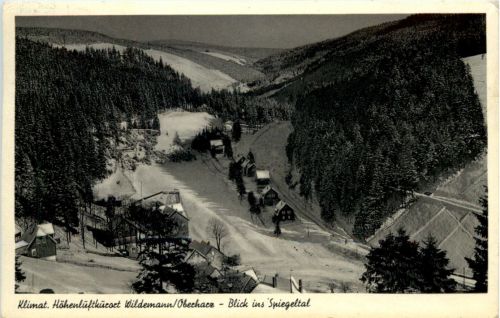 Wildemann im Harz, Blick ins Spiegeltal