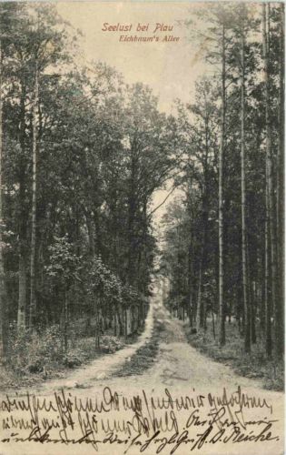 Seelust bei Plau, Eichbaums Allee