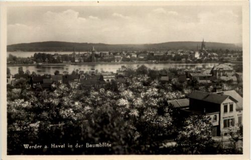 Werder a d Havel, Baumblüte
