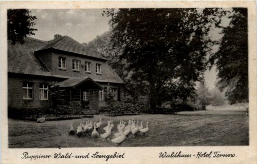 Ruppiner Wald- und Seengebiet, Waldhaus Hotel Tornow