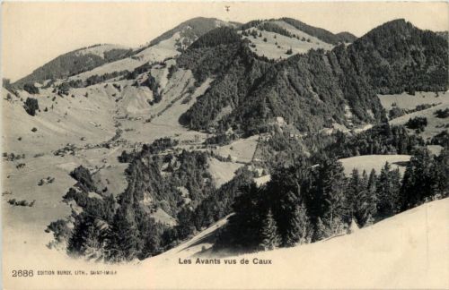 Les Avants vus de Caux