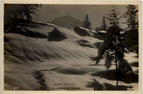 Etude d`hiver, a Chesieres - Villars