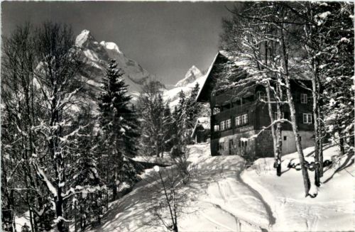 Braunwald
