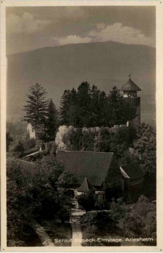 Schloss Birseck