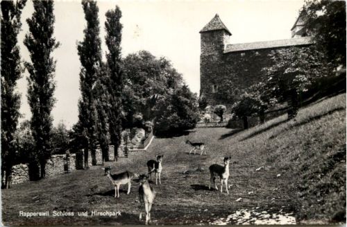 Rapperswil, Schloss und Hirschpark