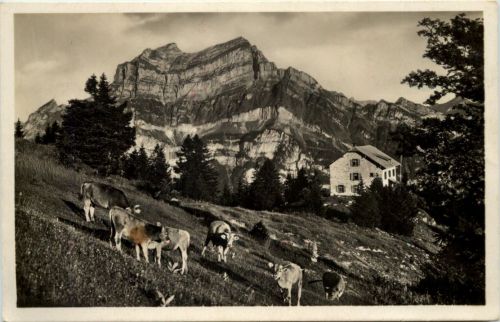 Zürcher Naturfreundehaus Fronalp mit Wiggis und Rauti