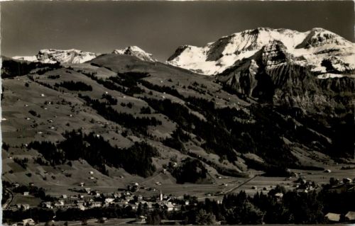 Lenk I.S.