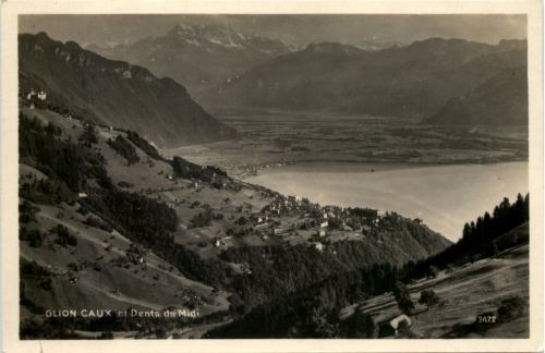 Glion Caux et Dents du Midi