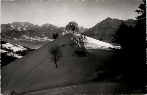 Winter bei Heiligenschwendi