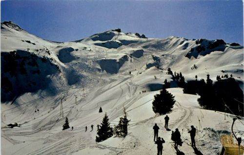 Flumserberg, Abfahrt vom Maschgachamm