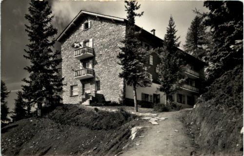 Waldhotel Bettmeralp