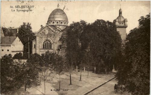Selestadt - La Synagogue