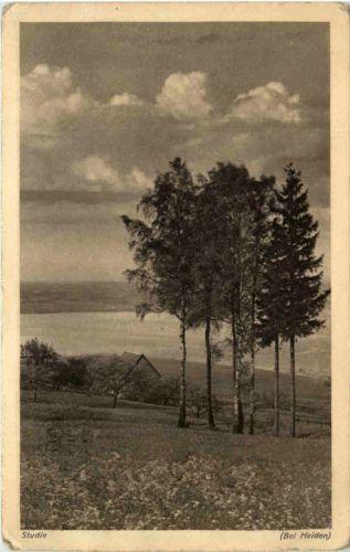 Bei Heiden - Studie
