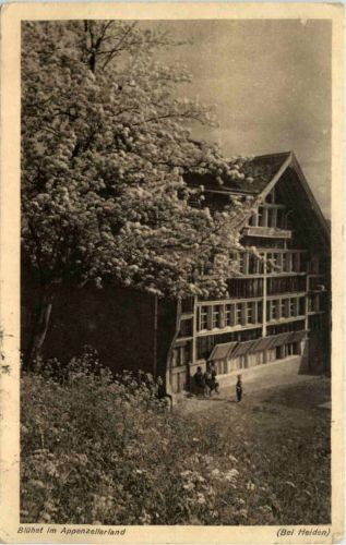 Bei Heiden - Blühet im Appenzellerland