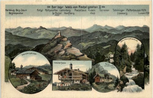 Walderhaus - Bayr. Wald vom Rachel aus - Künstler-AK Eugen Felle