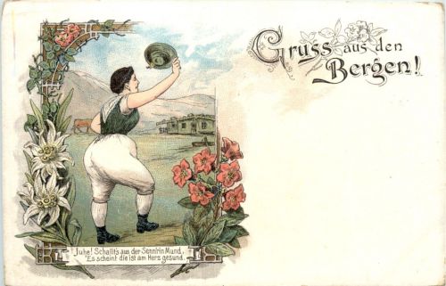 Gruss aus den Bergen - Litho - Künstler-AK Eugen Felle