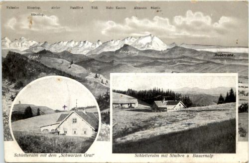 Schletteralm - Künstler-AK Eugen Felle