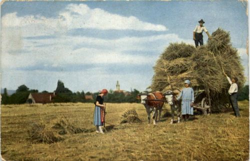 Landwirtschaft Wagengespann