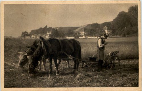 Landwirtschaft Rast