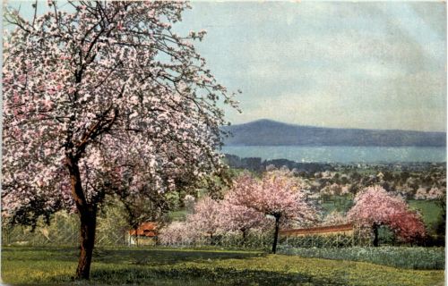 Wasserburg am Bodensee
